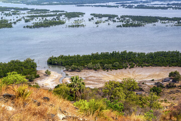 Mangrove dans le nord-ouest de Madagascar