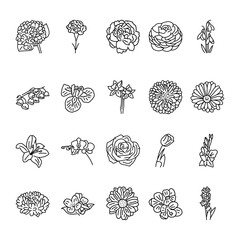Flowers black line icons set. Pictograms for web page