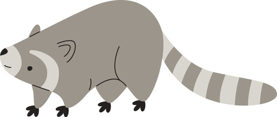 Raccoon Animal Illustration