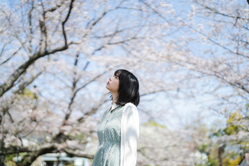 桜の花を見るショートヘアの女性
