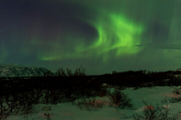 imagen de un paisaje nocturno nevado con una aurora boreal en el cielo de Islandia - obrazy, fototapety, plakaty