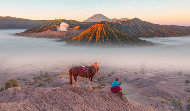 Brown horse at Bromo Tengger Semeru National Park at sunset - East Java, Indonesia