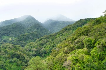 Obraz premium Beautiful shot of green forested mountains on a foggy day