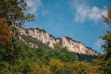 View of forest trees on the slopes on a sunny autumn day