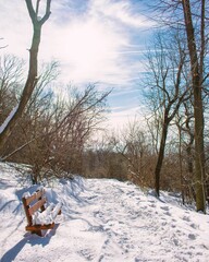 a bench is sitting in the middle of a snowy forest