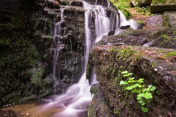 Small waterfall cascading in the forest