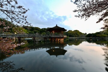 Naklejka premium 奈良の桜の浮見堂