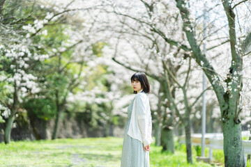 桜の花を見るショートヘアの女性