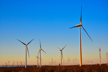 Wind Mills