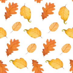 Watercolor Autumn Fall Seamless Pattern. Leaf Pattern. Botanical illustration. October print. Design for tile, backgrounds, fabric, textile, wrapping papper. Autumn leafs. Nature print.
