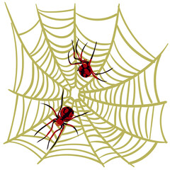 Spider web background for Halloween greeting cards on a white background. A black and red spider on a yellow cobweb hunts and weaves nets. Spiders from different sides. Dangerous spider and cobweb