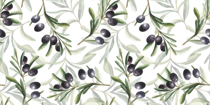 Watercolor hand drawn seamless pattern with black olives branches and leaves