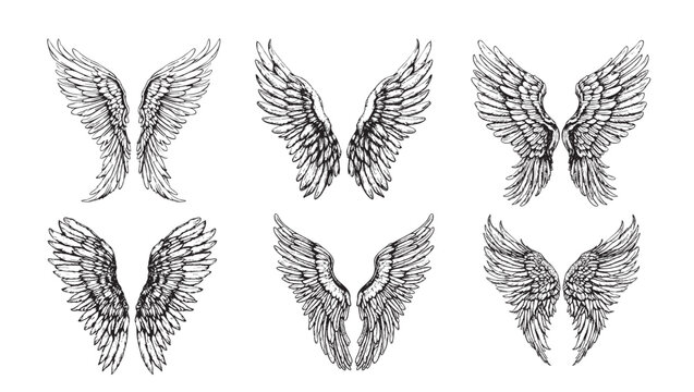 Set of wings sketch hand drawn in doodle style illustration