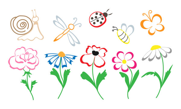 vector illustration doodle illustration of summer flowers and insects