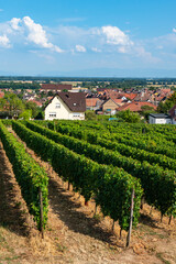 Fototapeta na wymiar Village between the vineyards, Eguisheim, France