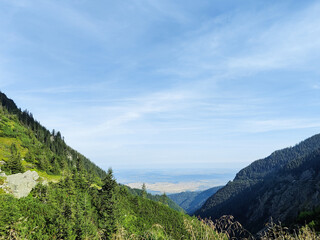 Tranquil scenic view of majestic rocky mountains covered with green forests against cloudy sky. Copy space. Selective focus.