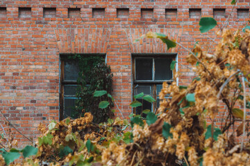 old house