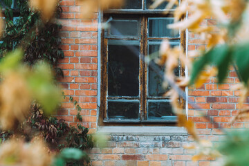 window in the window