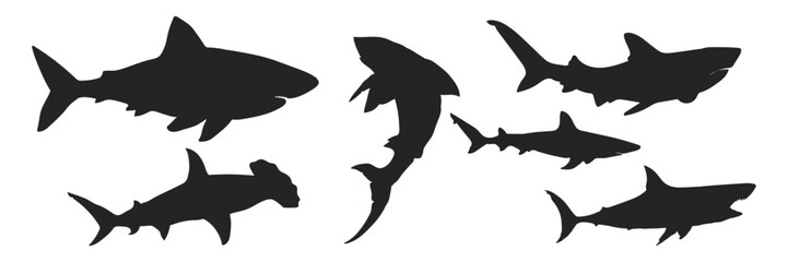 Obraz premium Sea animals. Sharks collection. Vector illustration on a white background.