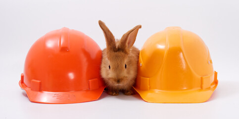 builder's day, symbol of the year easter bunny in a construction helmet on a white background - 589172106