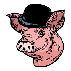 Pig animal in bowler hat sketch color engraving PNG illustration with transparent background