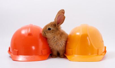 builder's day, symbol of the year easter bunny in a construction helmet on a white background - 589172592