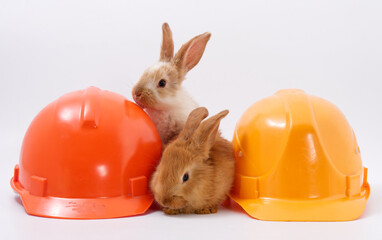 builder's day, symbol of the year easter bunny in a construction helmet on a white background - 589172790
