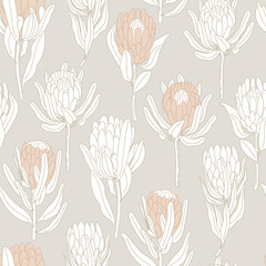 Pastel colors protea flowers seamless pattern - obrazy, fototapety, plakaty