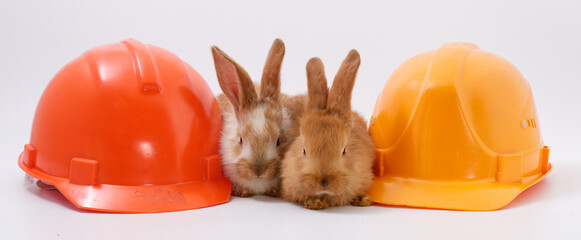 builder's day, symbol of the year easter bunny in a construction helmet on a white background - 589173114
