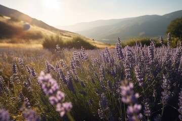 Plakat Sunny landscape of a lavender field against the backdrop of mountains. Dawn over a wild field of purple lavandula flowers. Generative AI