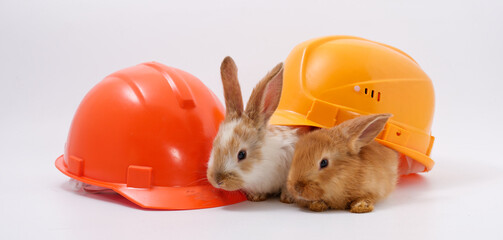 builder's day, symbol of the year easter bunny in a construction helmet on a white background