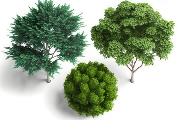 Green trees isolated on white background with clipping path