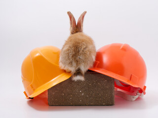 builder's day, symbol of the year easter bunny in a construction helmet on a white background