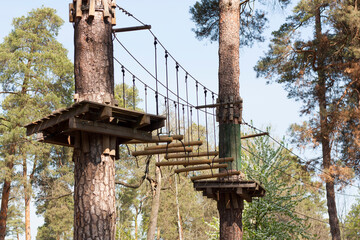 enjoying activity in a climbing adventure park photo