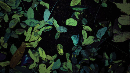 Fallen leaves in green and yellow colors against the background of dark earth. Shaded herbal illustration