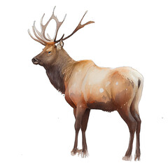 Elk illustration watercolor with transparent background. Generative AI