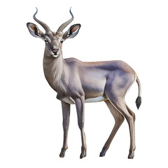 Fototapeta premium Kudu illustration watercolor with transparent background. Generative AI