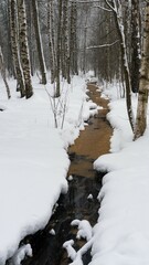 Spring stream in the forest in the snow.