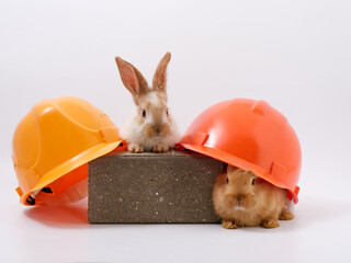 builder's day, symbol of the year easter bunny in a construction helmet on a white background