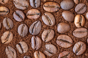 Roasted coffee beans on background of ground coffee, top view macro, Coffea.