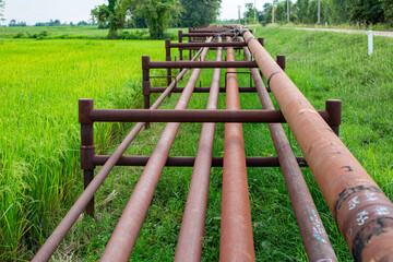 Steel long pipes in crude oil drill hole