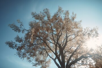 Fototapeta na wymiar Low Angle View Of Tree Against Clear Sky, Generative AI