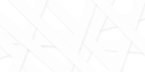 Fototapeta premium white line background. Gray and white diagonal line architecture geometry tech abstract subtle background. Gray line with white architecture futuristic background minimal concept background.