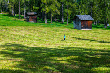 Val Fiscalina. Frame of the Sesto Dolomites.