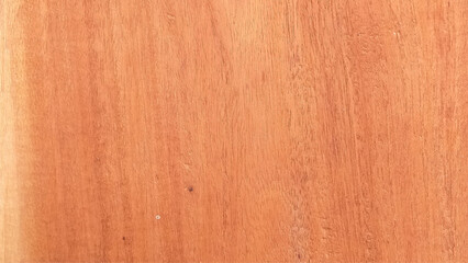 Texture of wood background closeup. Vector design