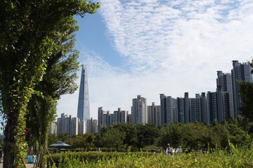 Fototapeta premium 내시선의풍경