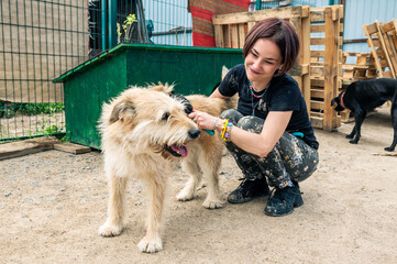 Dog at the shelter. Animal shelter volunteer feeding the dogs. Dogs in cage with cheerful woman...