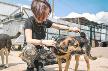 Dog at the shelter. Animal shelter volunteer feeding the dogs. Dogs in cage with cheerful woman volunteer