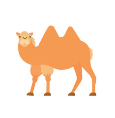 Concept Cute animals camel. A flat cartoon illustration depicts a cute camel in a fun and playful scene. The concept showcases the whimsical nature of animals. Vector illustration.