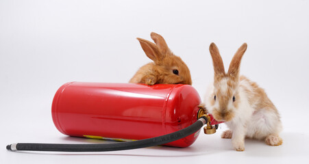 MES day. rabbit fire extinguisher on white background